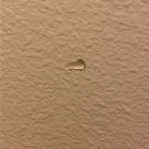 Meet your Posher, Ayliz